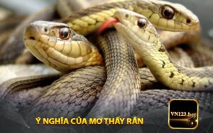 Ý Nghĩa của Mơ Thấy Rắn